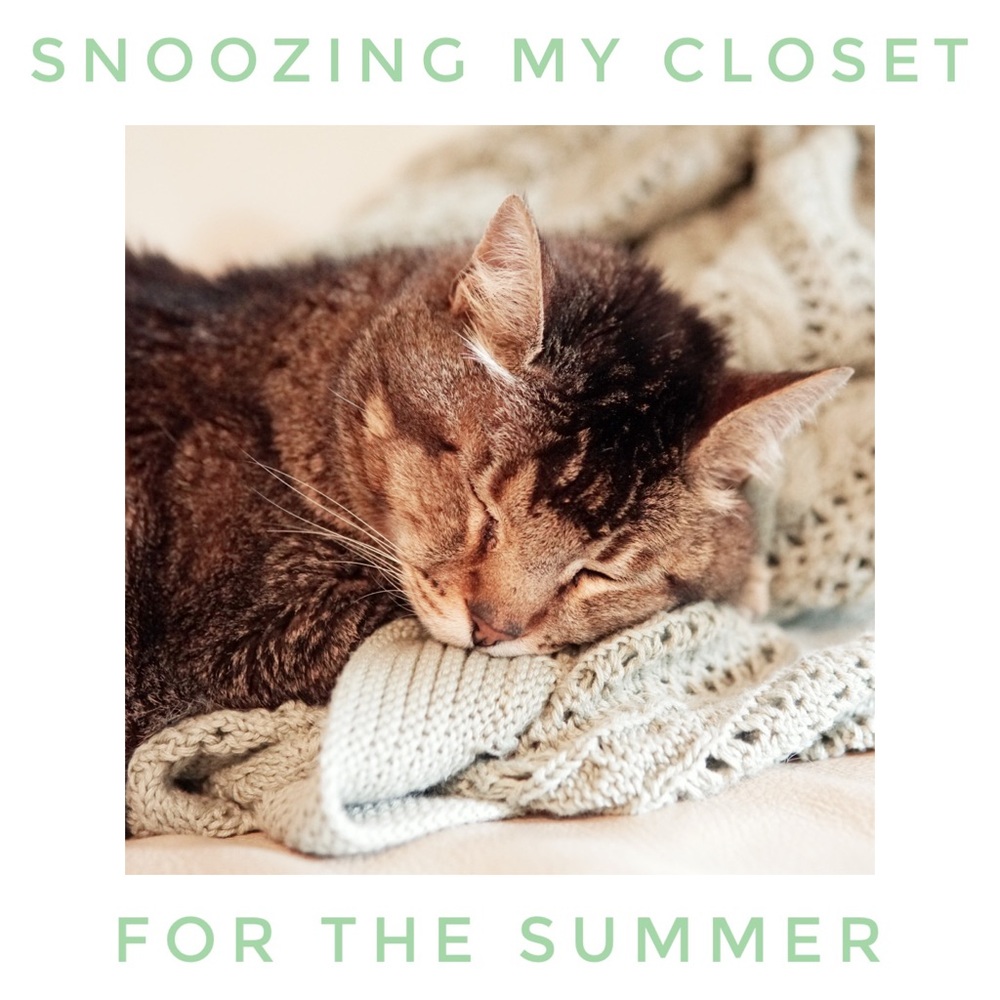 Closet closing during the summer ☀️